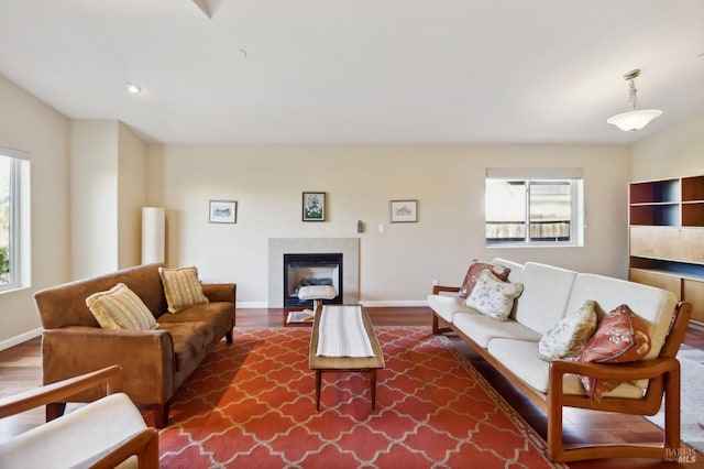 living room featuring dark wood-type flooring