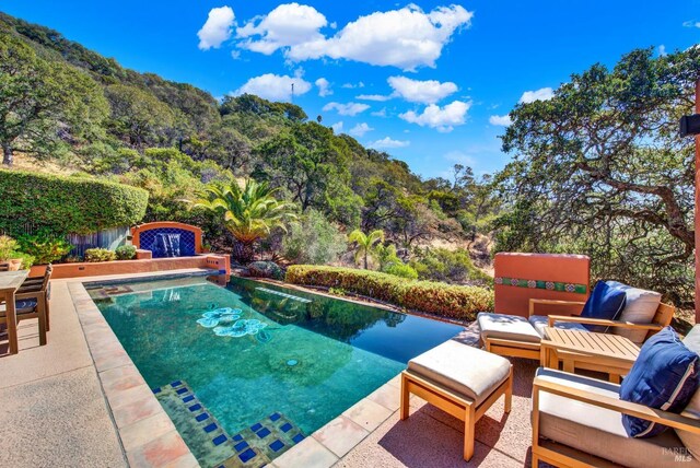 view of swimming pool with a patio