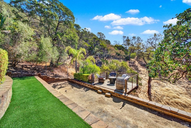 view of yard with a patio and outdoor lounge area