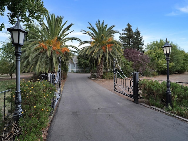 10951 River Rd, Courtland, CA 95615 - view of street