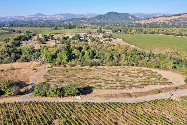 drone / aerial view with a mountain view and a rural view