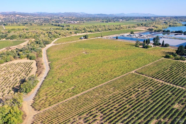 drone / aerial view featuring a rural view