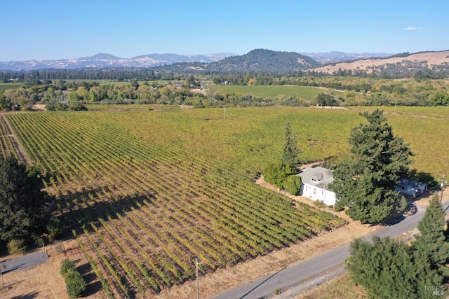 birds eye view of property featuring a mountain view and a rural view