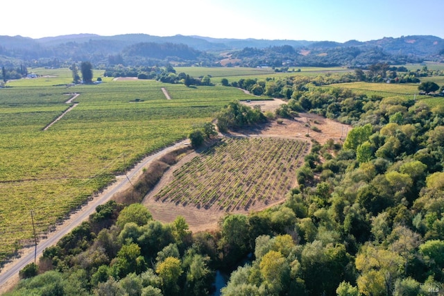 drone / aerial view featuring a mountain view and a rural view