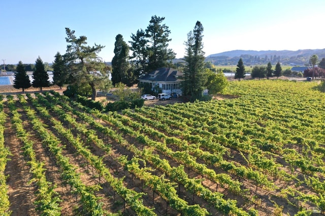 view of yard featuring a mountain view and a rural view