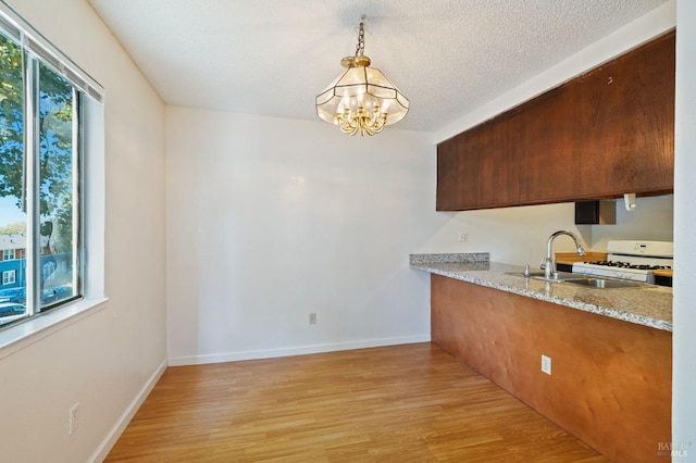 kitchen featuring decorative light fixtures, light hardwood / wood-style flooring, sink, and white range with gas stovetop