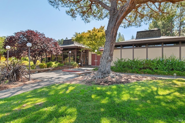 954 Lea Dr, San Rafael, CA 94903 - view of yard
