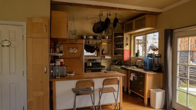 kitchen featuring a breakfast bar area, light wood-type flooring, crown molding, sink, and stainless steel range