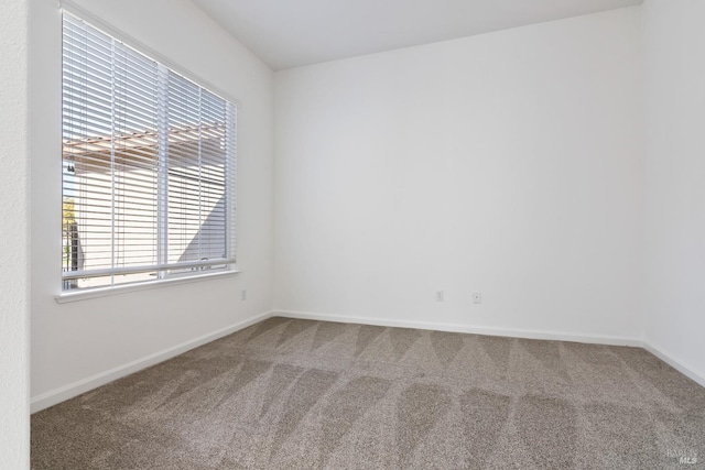 spare room with carpet flooring