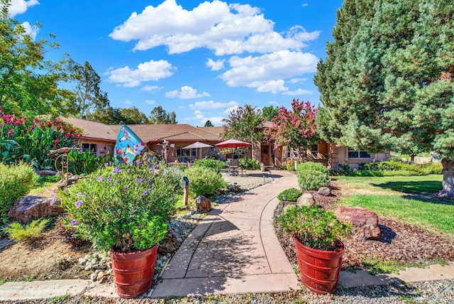 view of home's community with a lawn