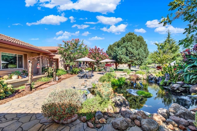 view of yard with a small pond and a patio area