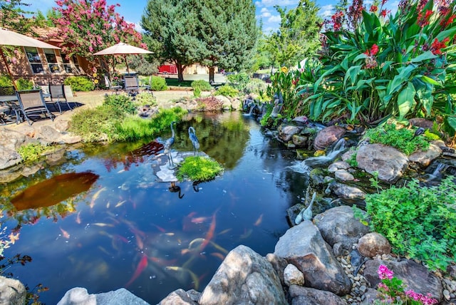 view of water feature with a garden pond