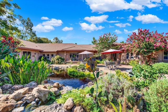 back of house with a garden pond and a patio area