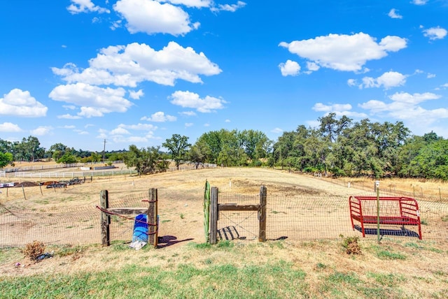 view of yard with a rural view