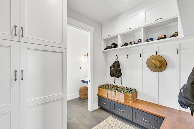 mudroom featuring light hardwood / wood-style flooring