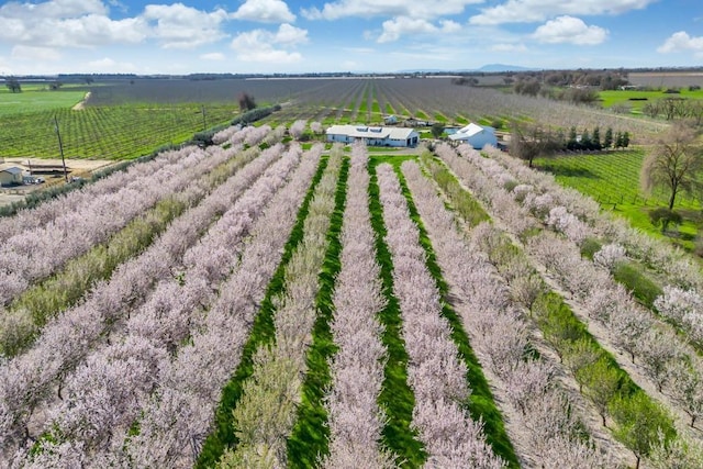 bird's eye view featuring a rural view