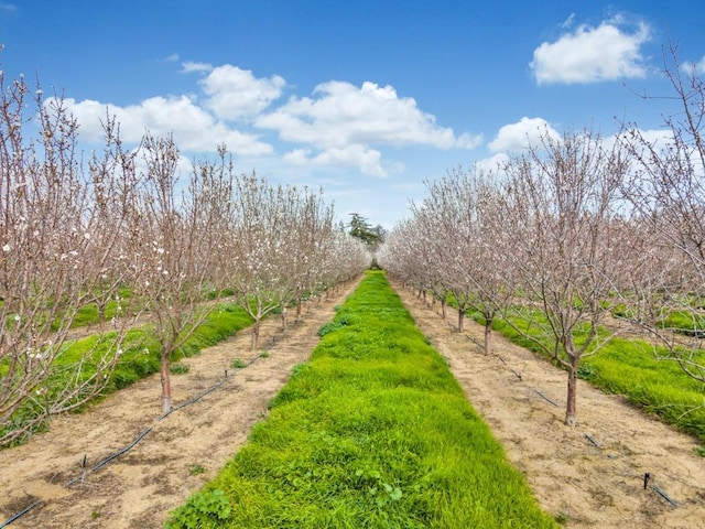 surrounding community with a rural view