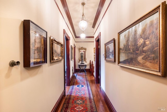 corridor featuring crown molding and dark wood-type flooring