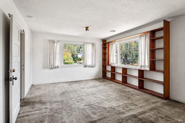 empty room featuring a textured ceiling, carpet floors, and a wealth of natural light