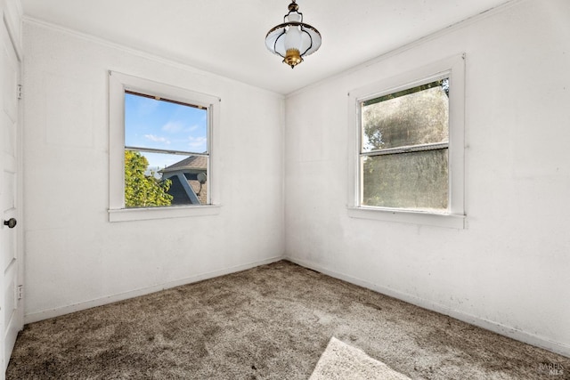 spare room with baseboards, ornamental molding, and carpet flooring