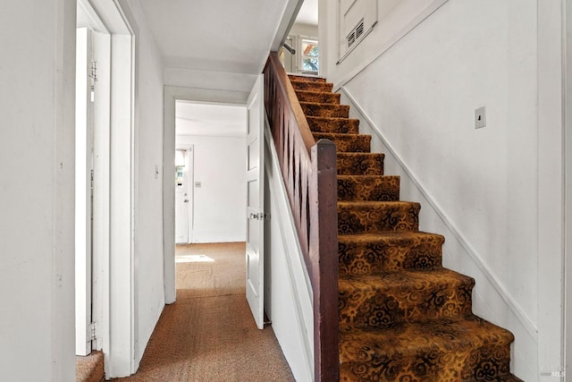 staircase featuring carpet floors