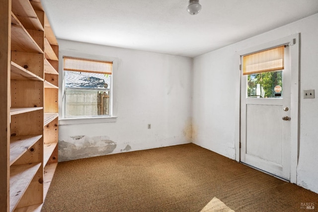 unfurnished room with carpet