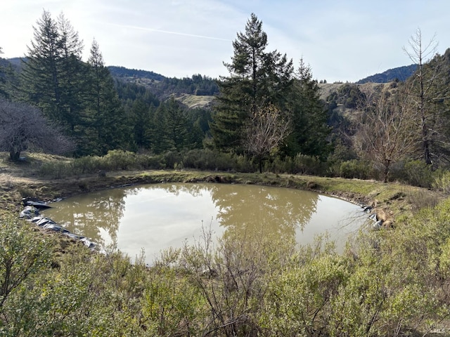 view of water feature with a wooded view