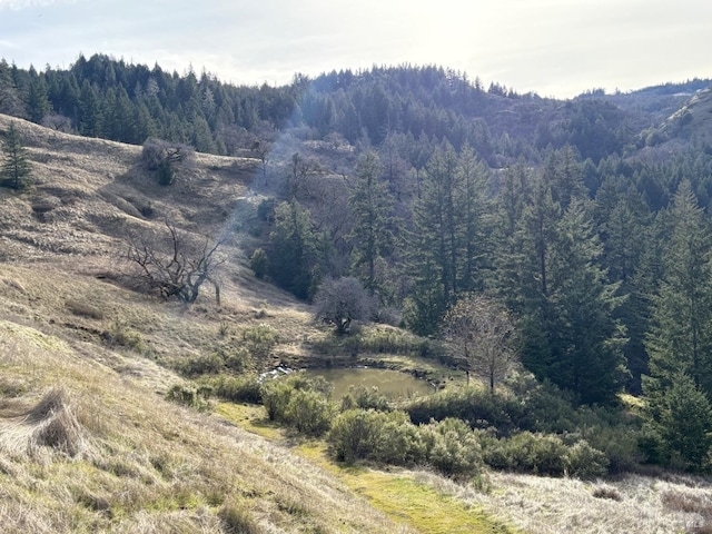 mountain view with a view of trees