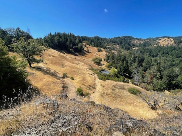 view of local wilderness with a view of trees