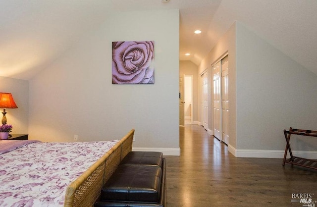 bedroom featuring vaulted ceiling and dark hardwood / wood-style floors