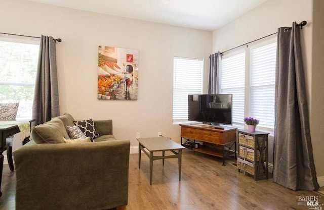 living room with hardwood / wood-style floors and a wealth of natural light