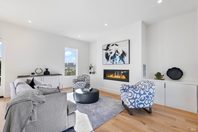 living room featuring light hardwood / wood-style flooring