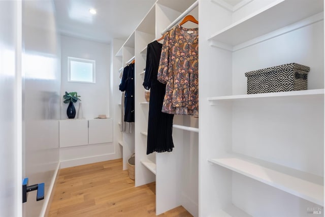 walk in closet with wood-type flooring