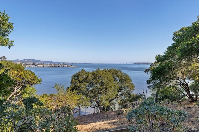 view of water feature with a mountain view