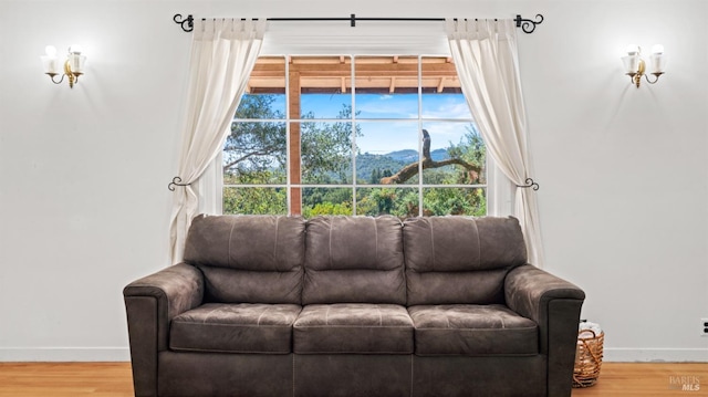 living room with wood-type flooring and a mountain view