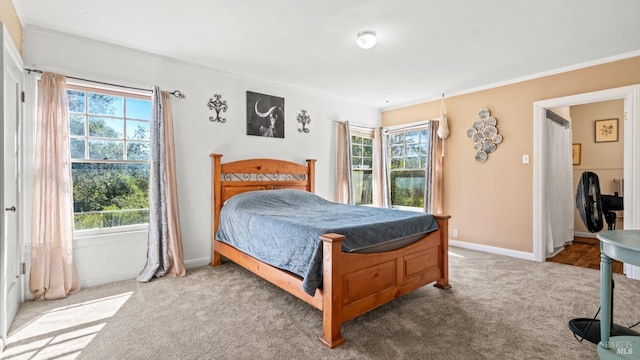 bedroom with ornamental molding, carpet flooring, and multiple windows