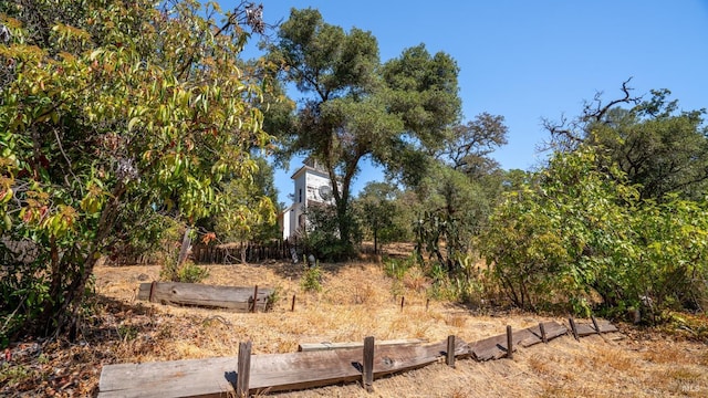 view of local wilderness