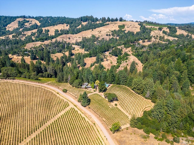 aerial view featuring a rural view