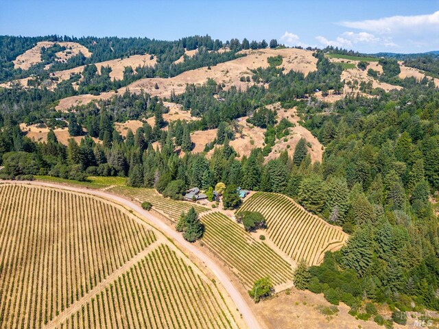 2151 Guntly Rd, Philo, CA 95466 - aerial view of property's location