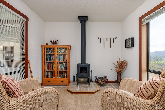 living room featuring a textured ceiling and a wood stove