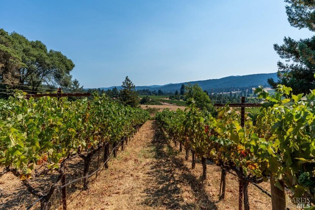2151 Guntly Rd, Philo, CA 95466 - view of mountain background with extensive farmland and rural landscape