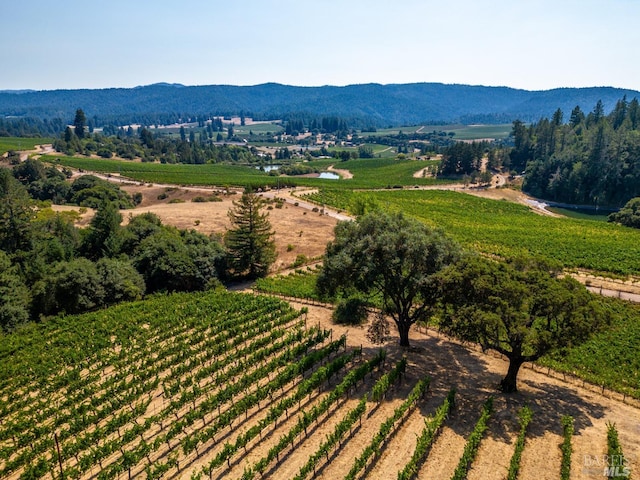 property view of mountains with a rural view