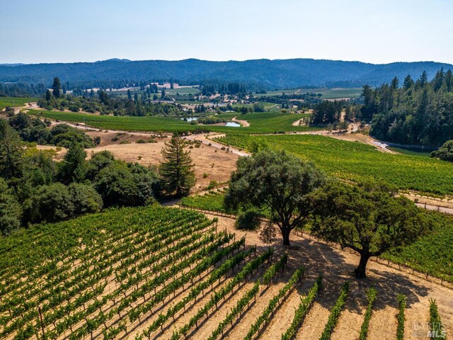 2151 Guntly Rd, Philo, CA 95466 - view of mountain background with large plots for crops and rural landscape