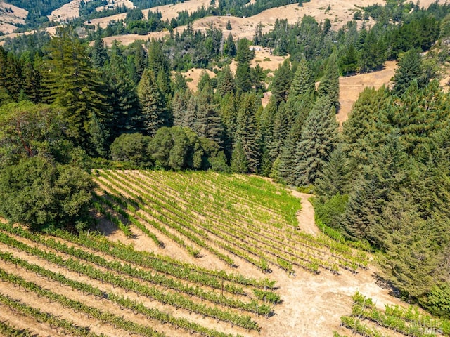 bird's eye view featuring a rural view