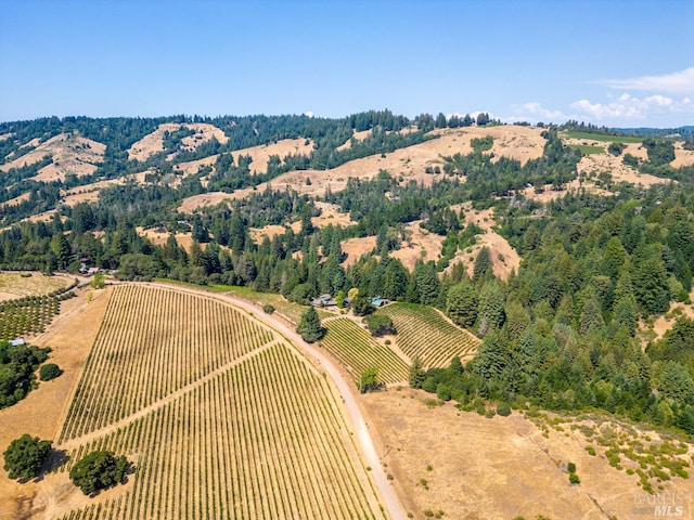 bird's eye view featuring a rural view