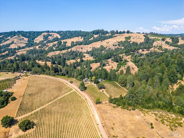 2151 Guntly Rd, Philo, CA 95466 - aerial view of sparsely populated area