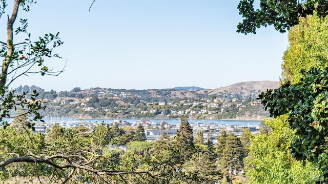 view of mountain feature featuring a water view