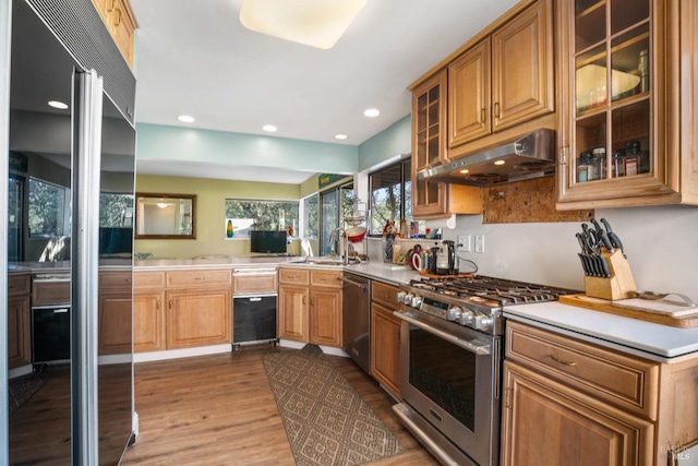 kitchen with sink, light hardwood / wood-style floors, and premium appliances