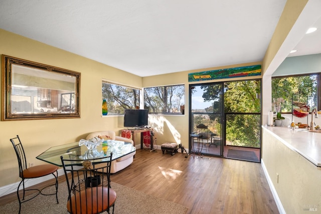 interior space with wood-type flooring and a wealth of natural light