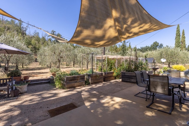 view of patio / terrace featuring outdoor dining space and a vegetable garden